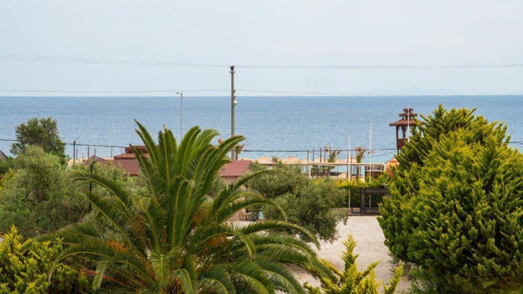 Club Kavala Beach Hotel Assos Exteriér fotografie